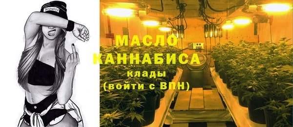 мдпв Магас