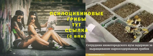 мдпв Магас