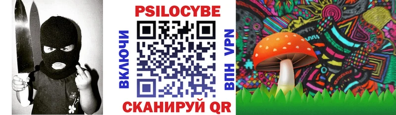 Галлюциногенные грибы Psilocybine cubensis  Оса 